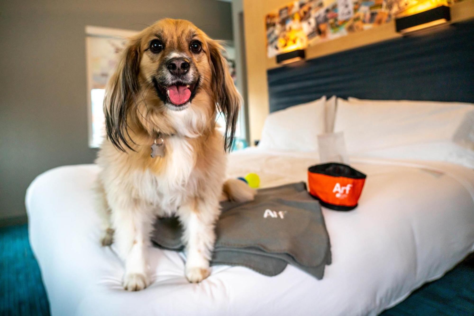 Aloft Louisville Downtown Екстериор снимка